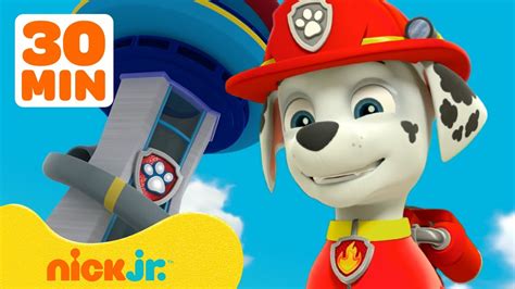 pawmanha|PAW Patrol Marshall's BEST Lookout Tower Rescues! w/ Chase .